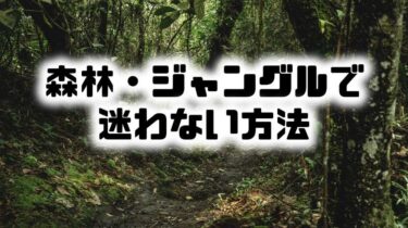 目印があるのにジャングルや森林で迷う理由と対処法【斥候作戦】